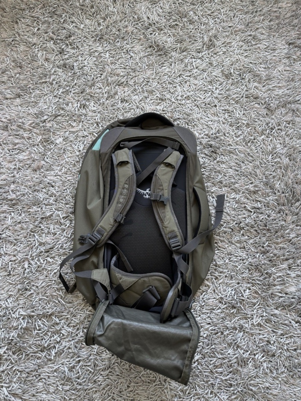 Fairview 70L Travel Backpack in Green Olive / Blue Authentic❤️ - Picture 9 of 12